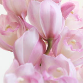 三次メモリアルホール